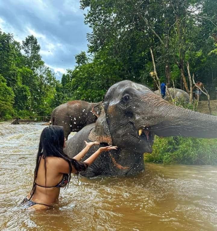 Wild Park Safari Home Stay Udawalawe Luaran gambar