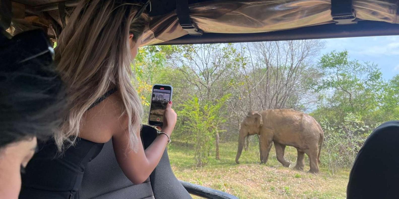 Wild Park Safari Home Stay Udawalawe Luaran gambar